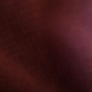 Meet your Posher, Bianca